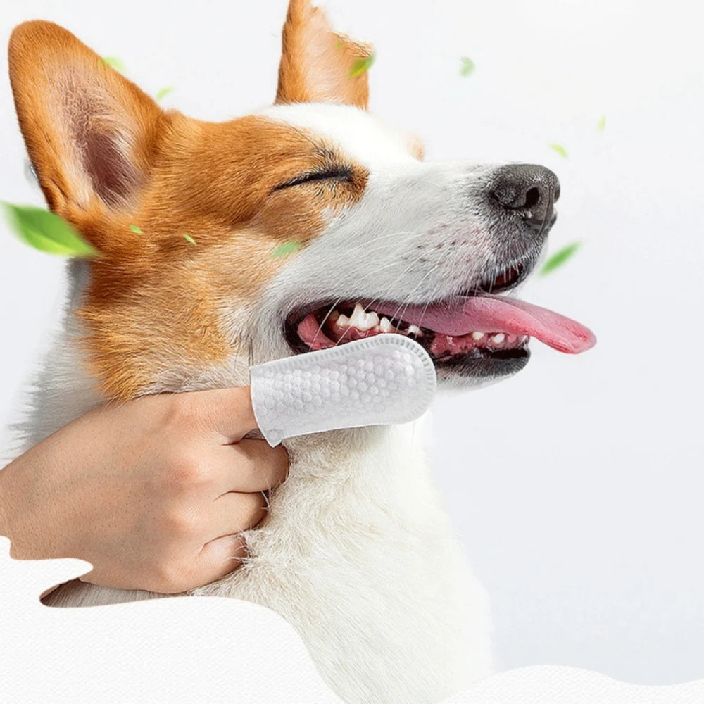 Toallitas dentales para Mascotas