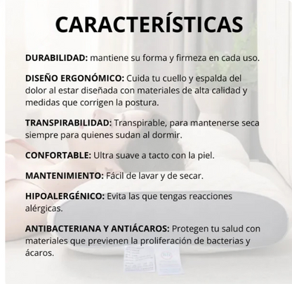 Cervilisse La solucion a tus sueños