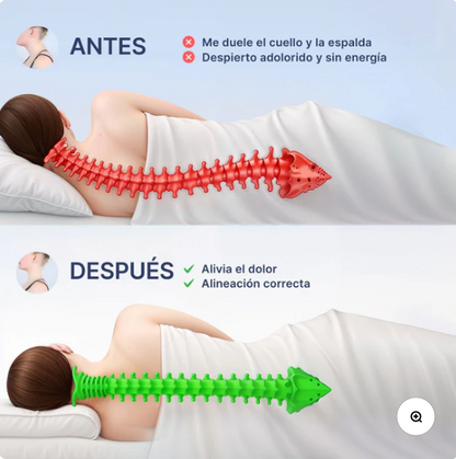Cervilisse La solucion a tus sueños