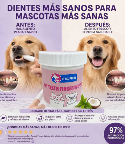 MASCOTAS SALUDABLES
