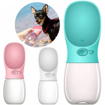 gid://shopify/MediaImage/27001960955974